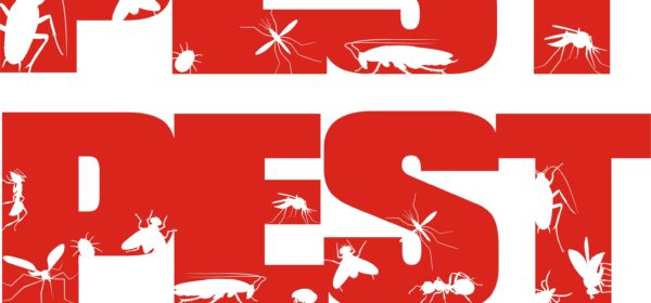 Hiring An Absolute Pest Control Company