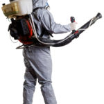 Fumigation Cost And Why It’s Worth Every Penny