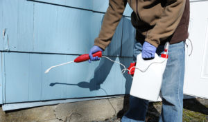 spraying the pesticide on the house exterior